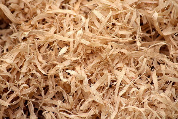 shavings.jpg